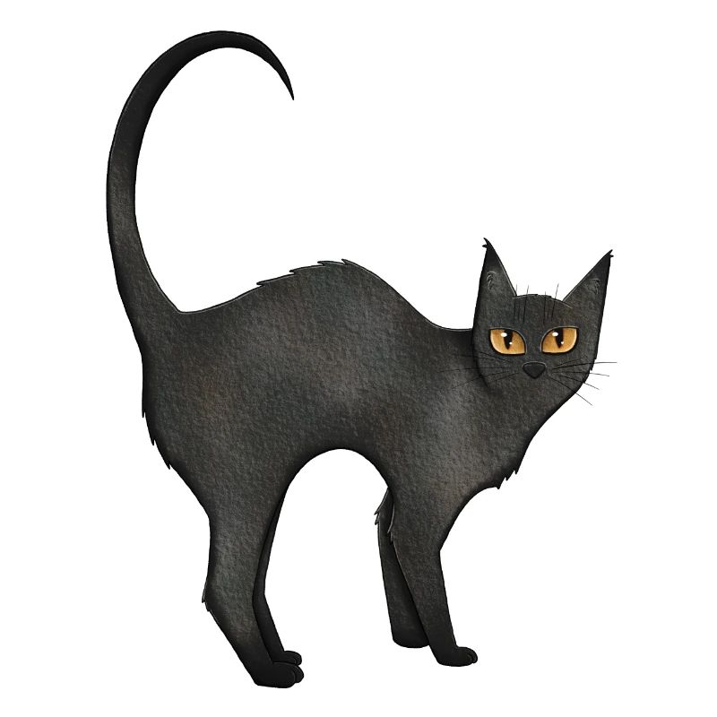 Katze Schwarz