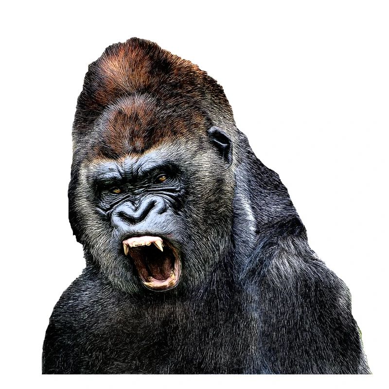 gorilla 2