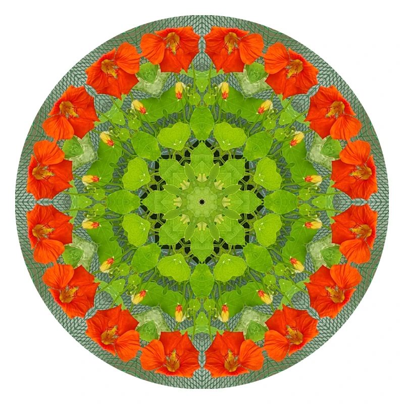Mandala-Quantum 10