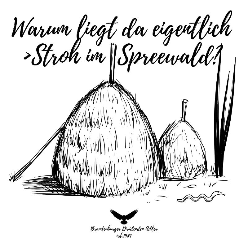 Spreewald Warum liegt da eigentlich Stroh?
