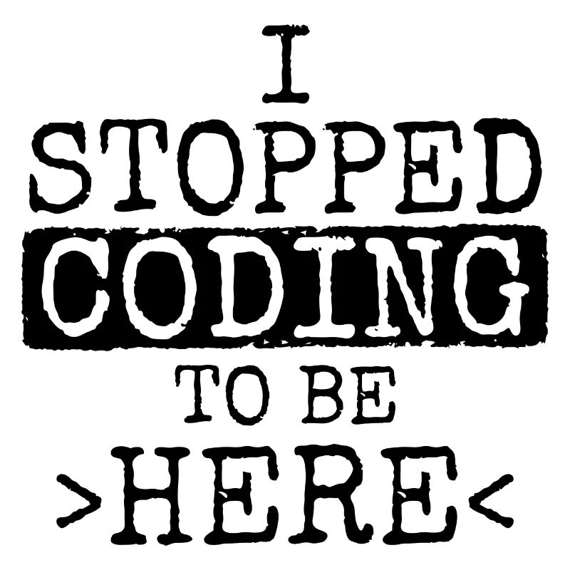 Software Ingenieur Informatiker Programmierer