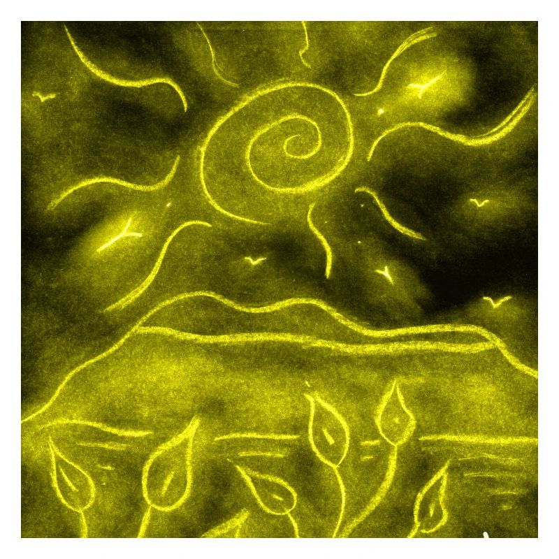 YELLOW NIGHT LANDSCAPE