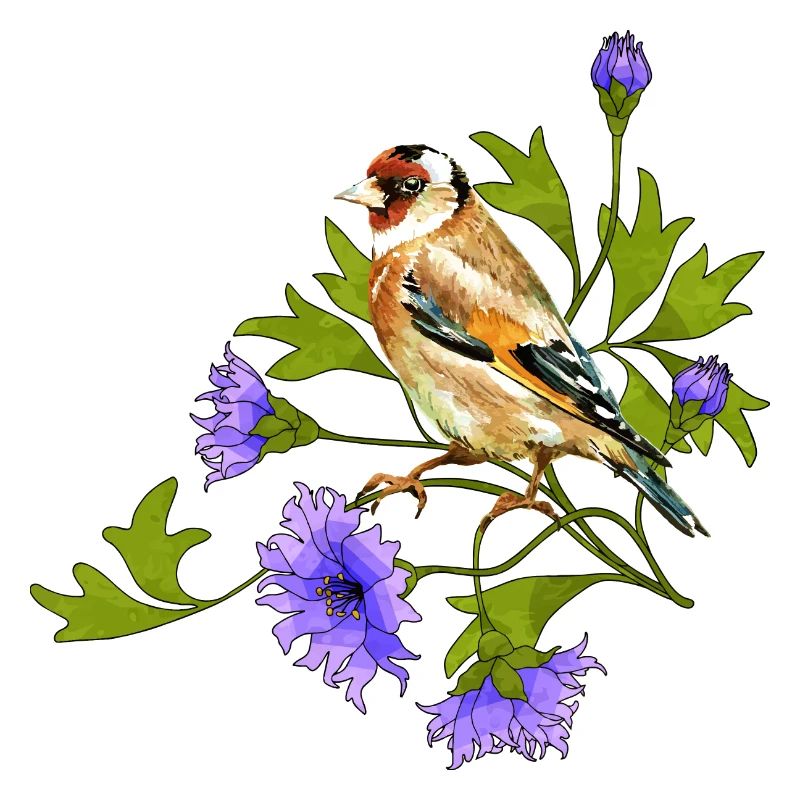 Bunter Vogel