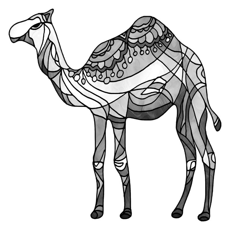 Kamel