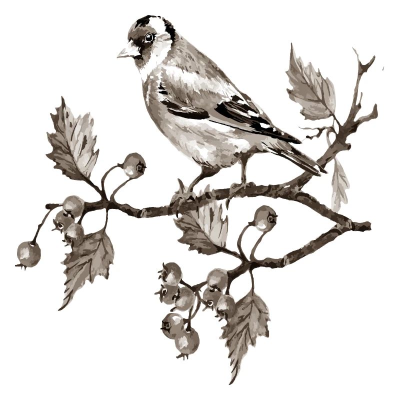 Vogel