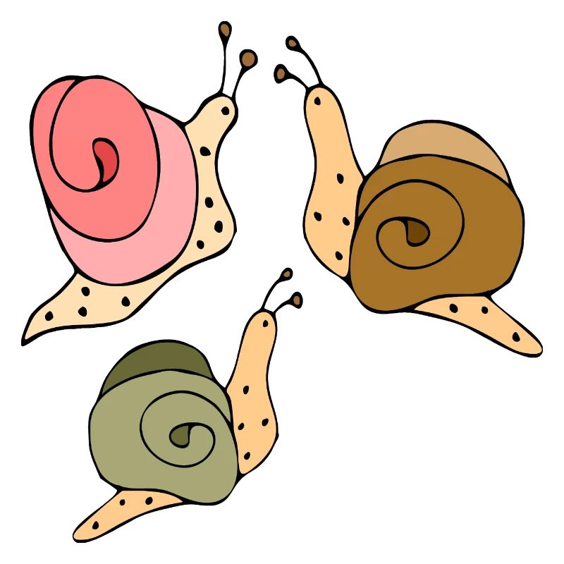 Snails