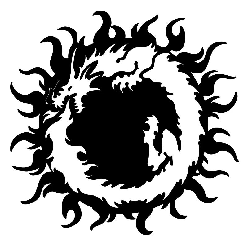 Dragon17 schwarz
