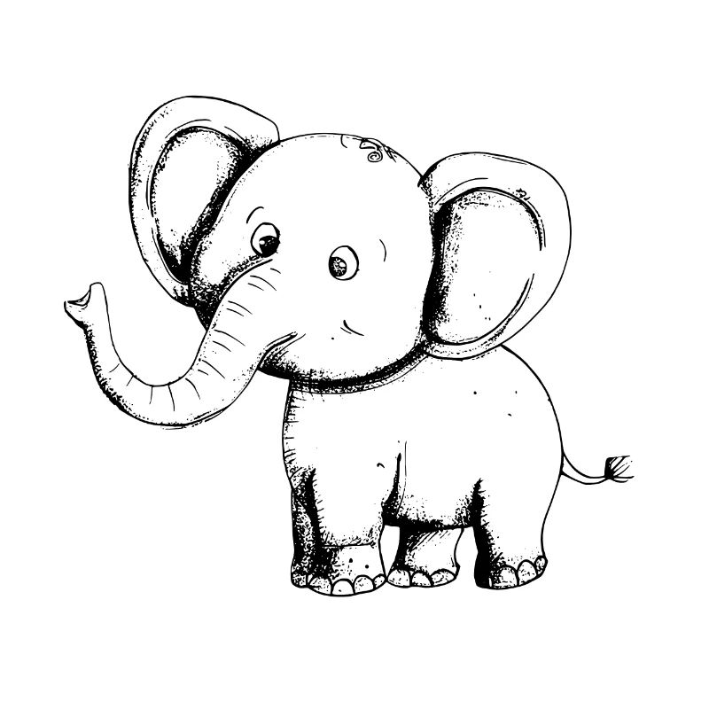 Éléphant Éléphant