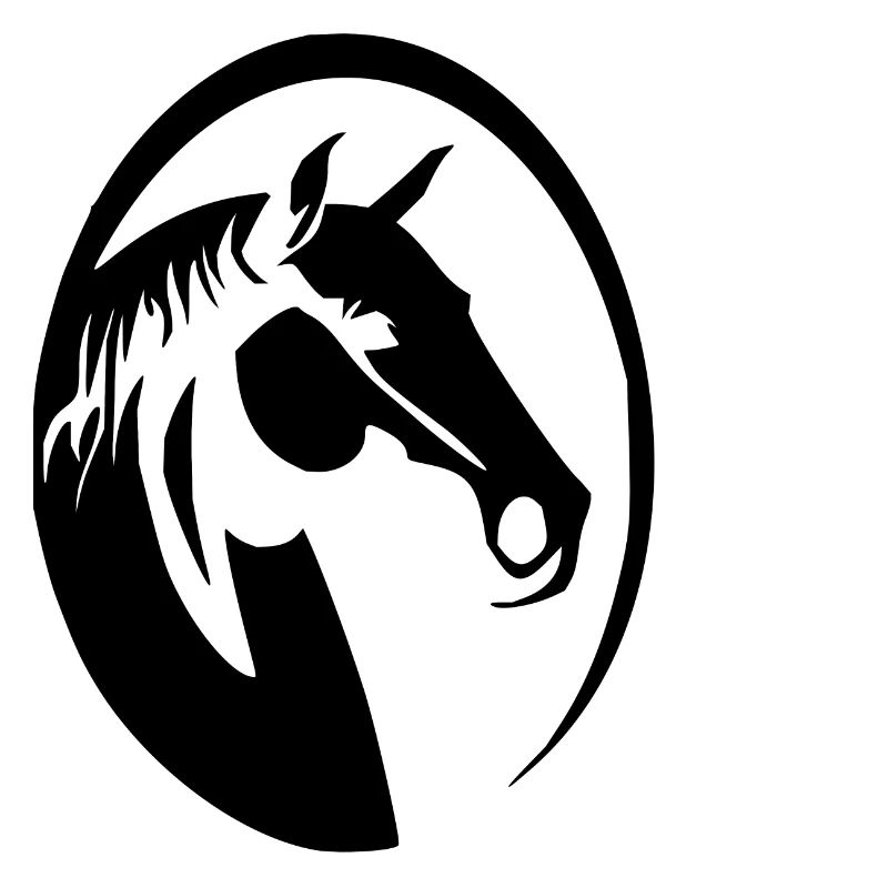 Cooles schwarzer Pferd