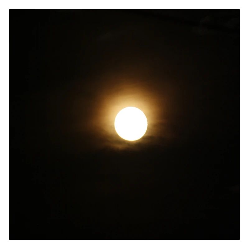 Mond