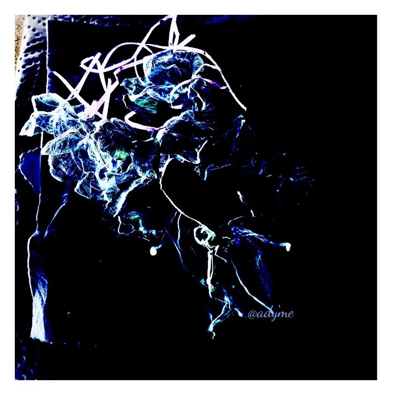 Synapse