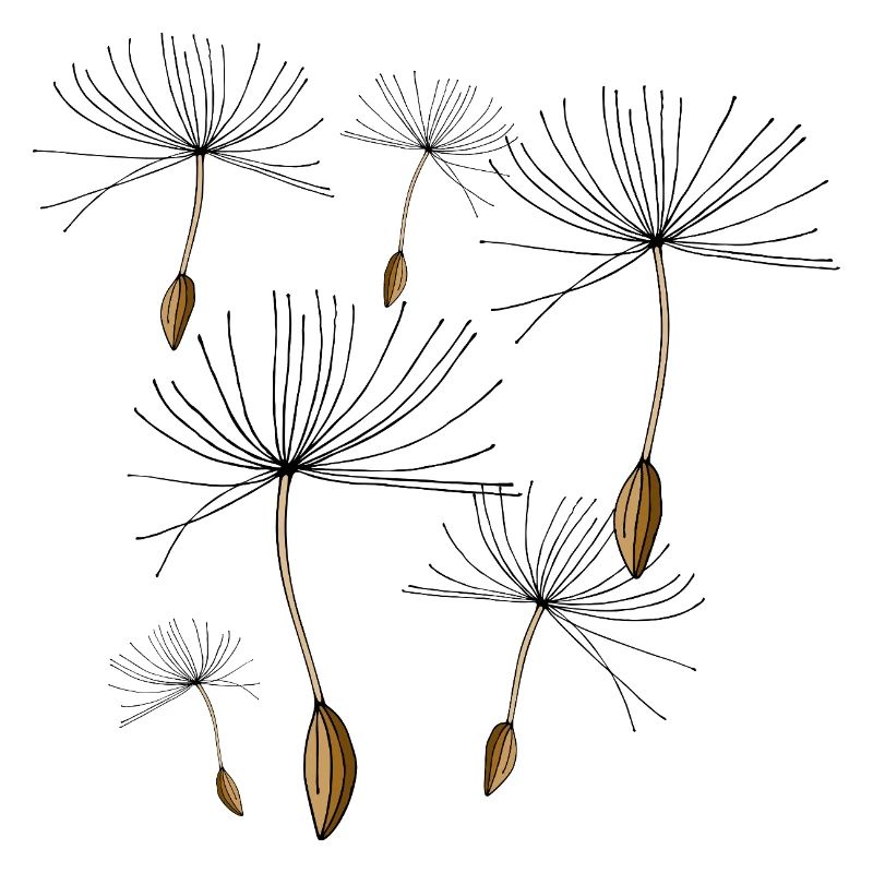 Dandelions