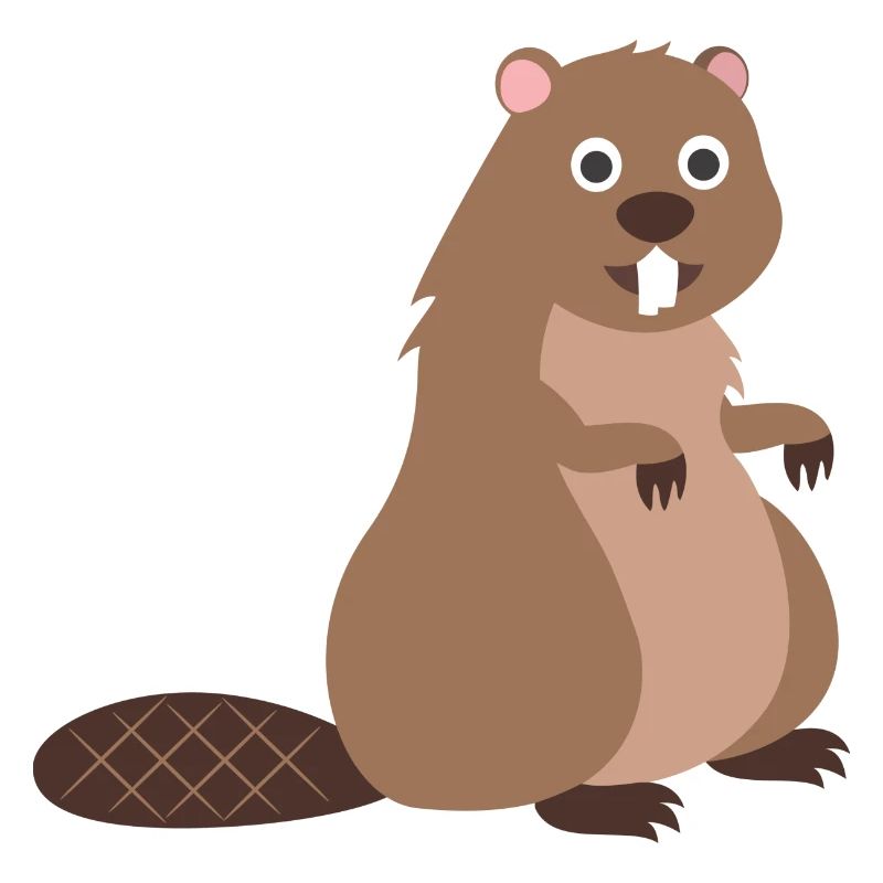 Beaver