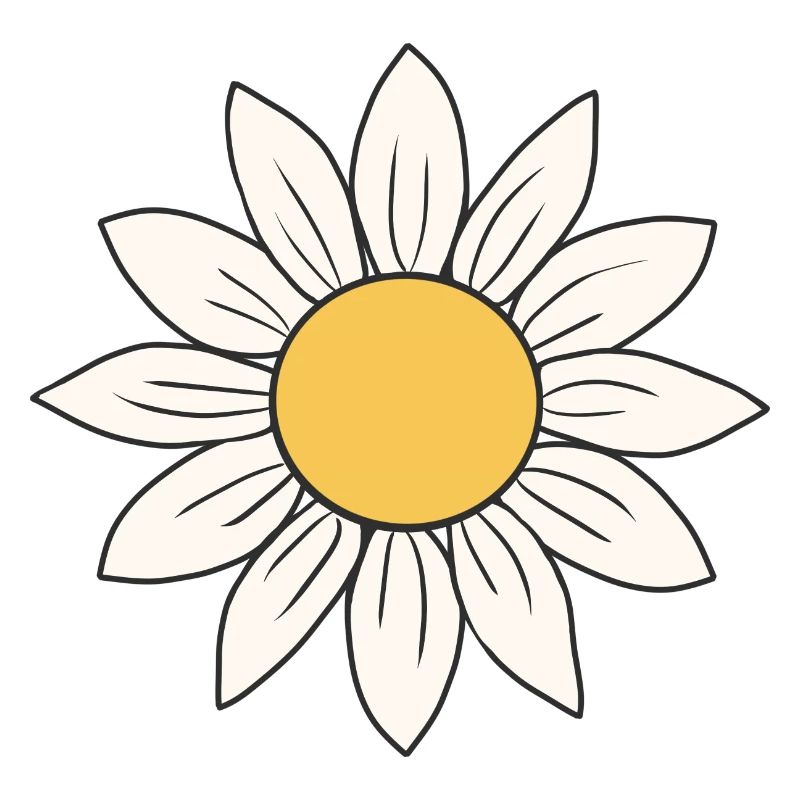 Gänseblümchen