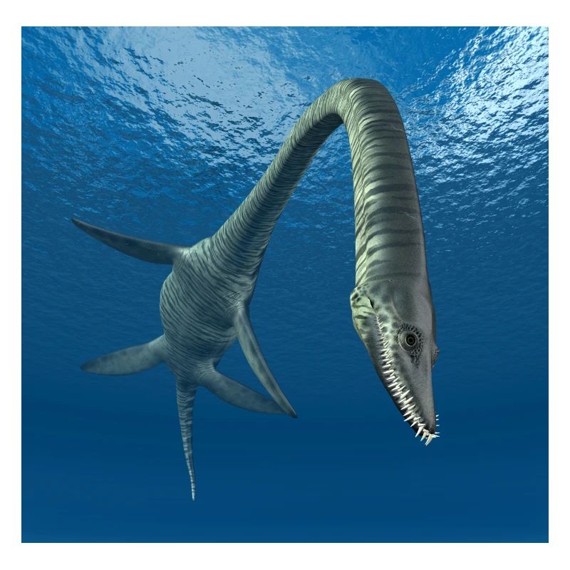 Plesiosaur Elasmosaurus