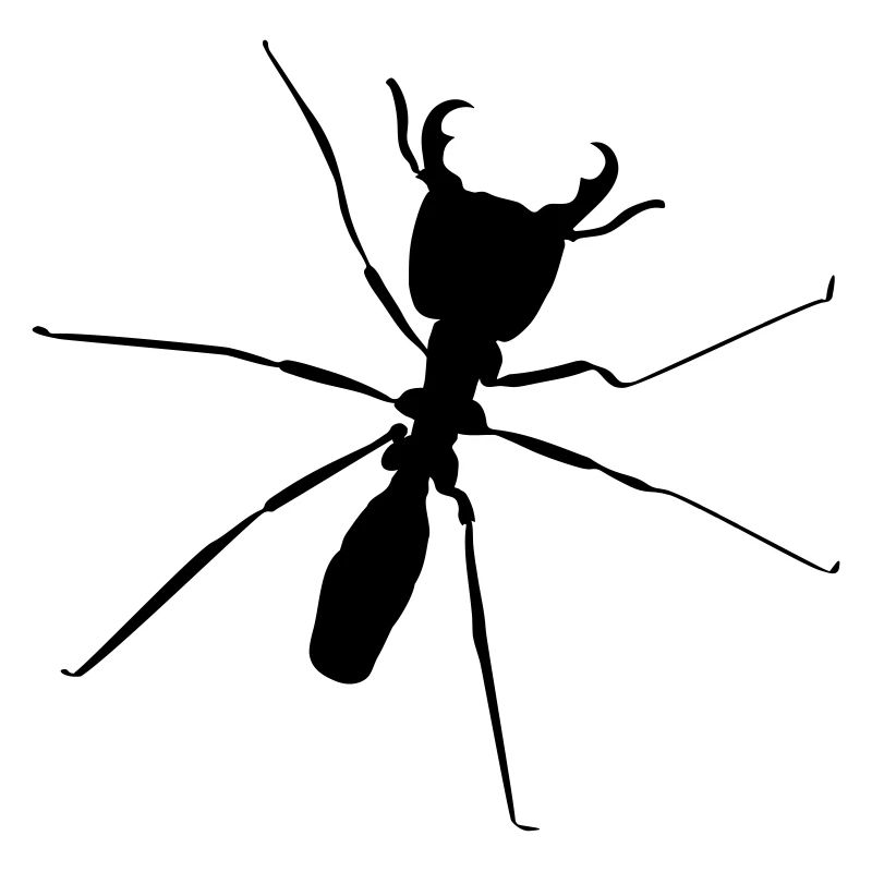 Ant ant ant ant ant ant ant