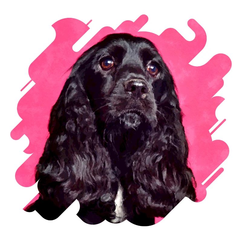 English Cocker Spaniel