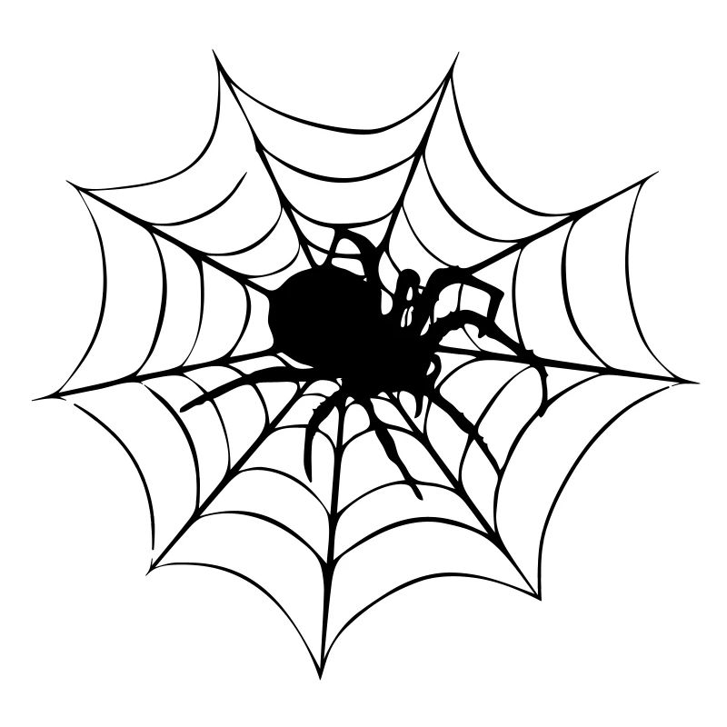 Spider on web | Spider web | Halloween | Horror