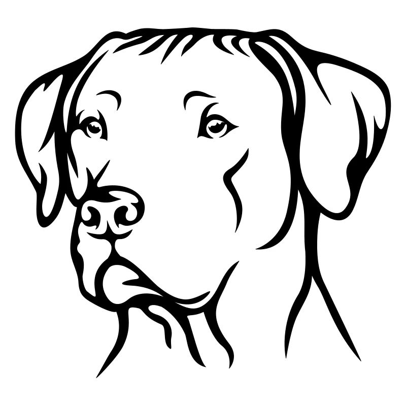 Rhodesian Ridgeback