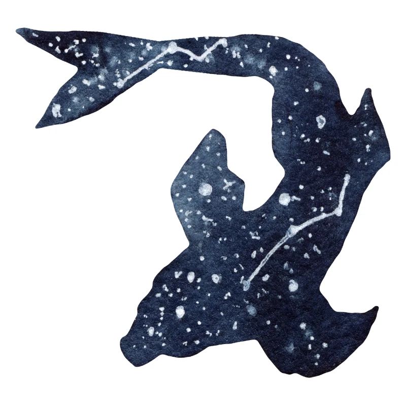 Galaxy Star Fish