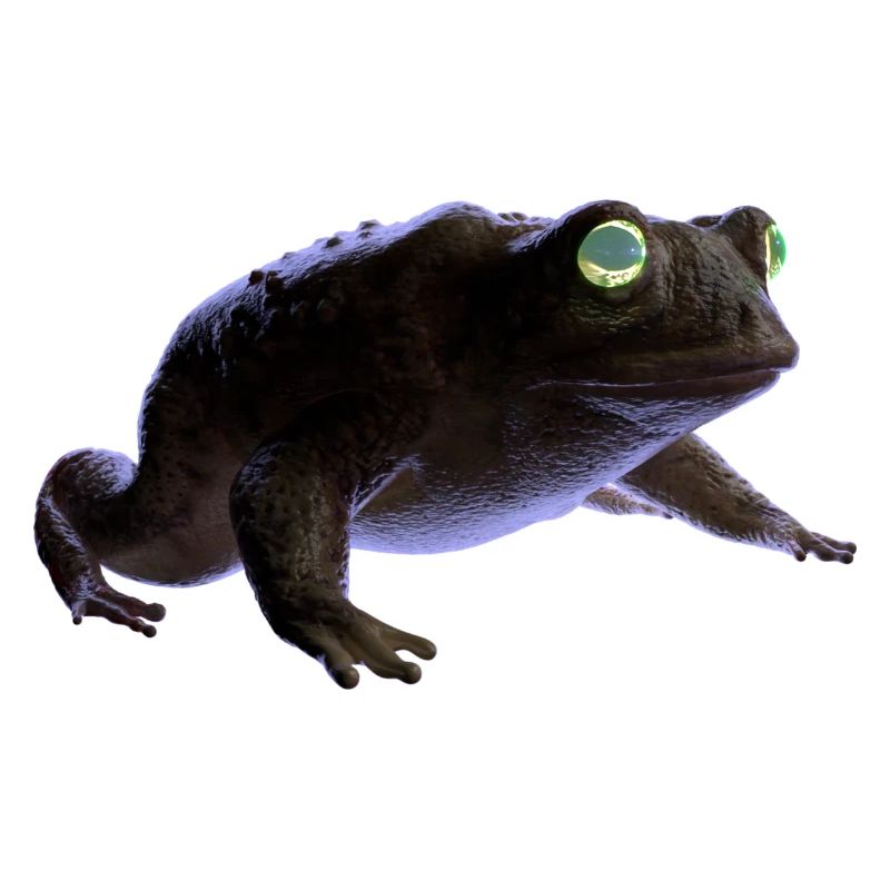 Frosch