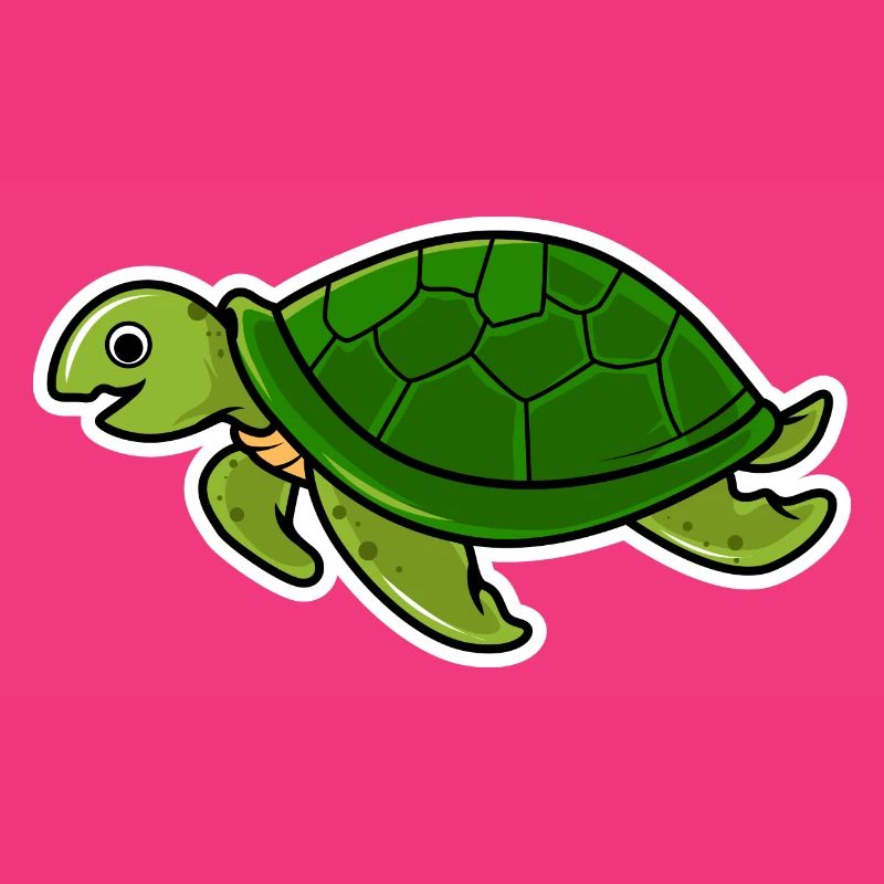 turtle
