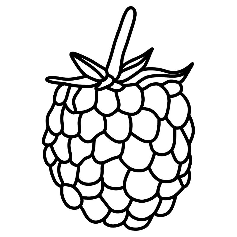 Raspberry Berry Vitamins