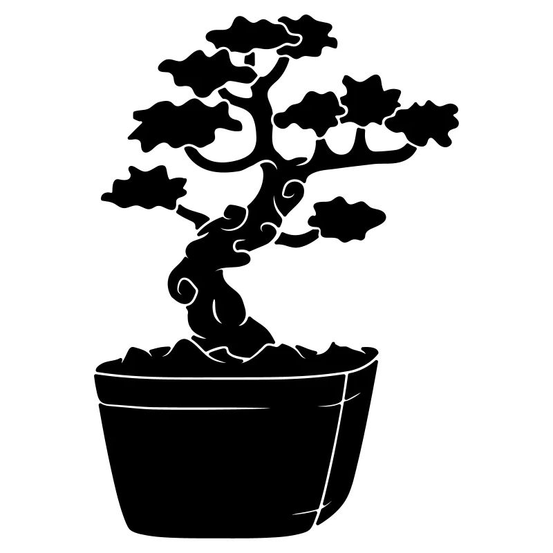black bonsai baeumchen gaertner small tree m