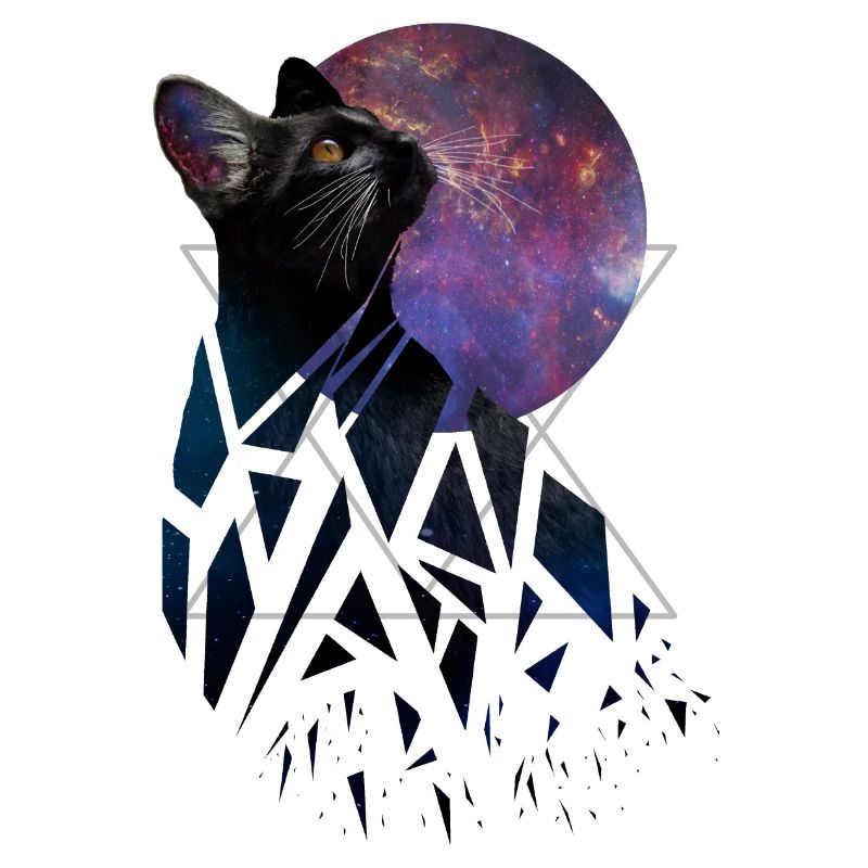 Space Cat - Space Animals Serie