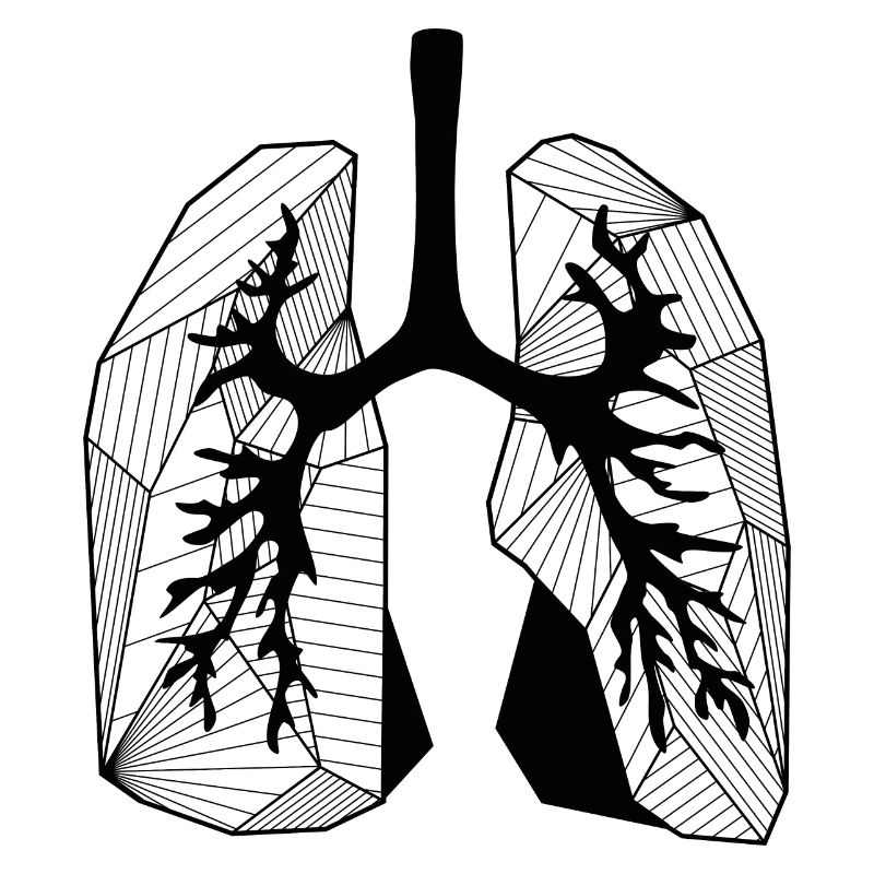 Lungs
