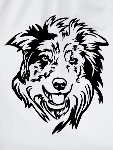 Border Collie Head