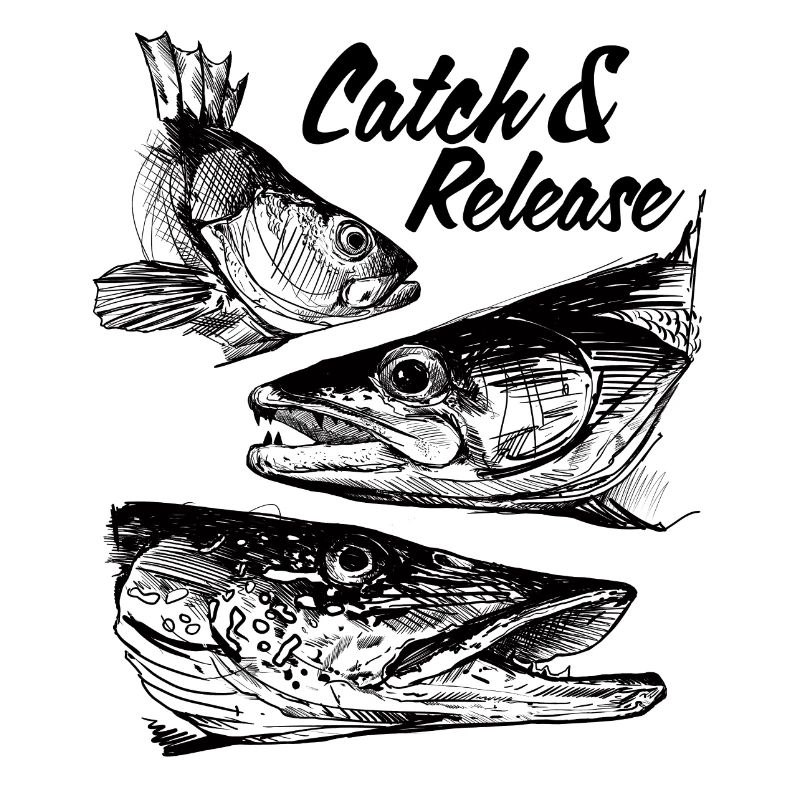 Catch & Release