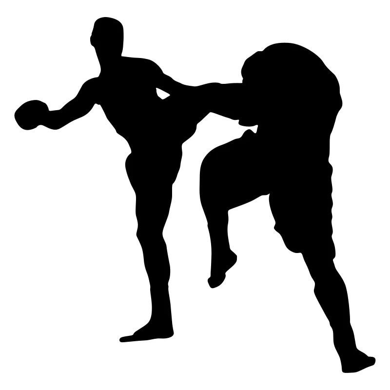 muay thai kickboxing
