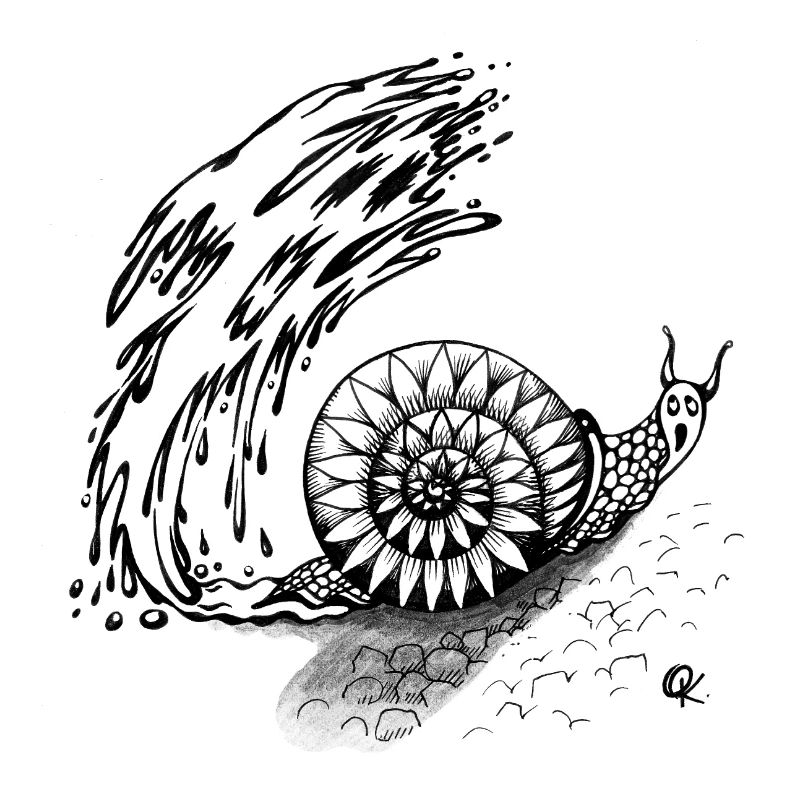 Snail Trail