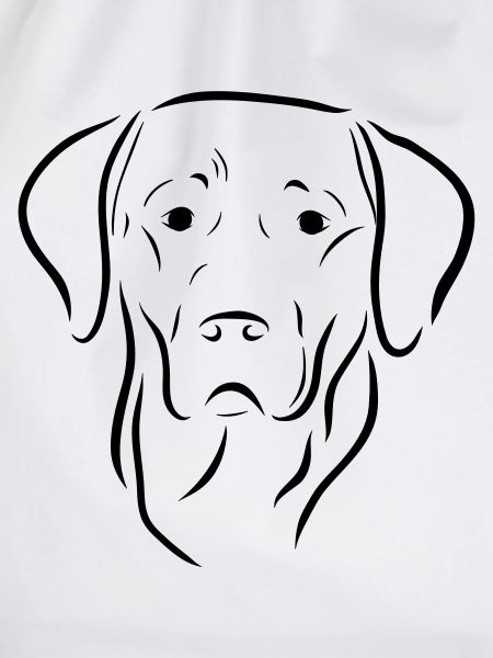 Labrador hund hoved tegning hund hund kærlighed