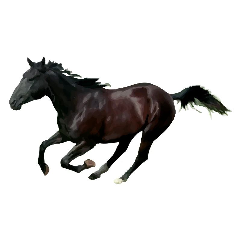 Pferd