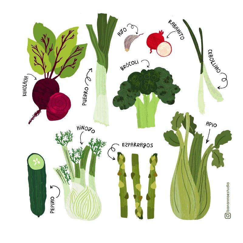 Adorable vegetables