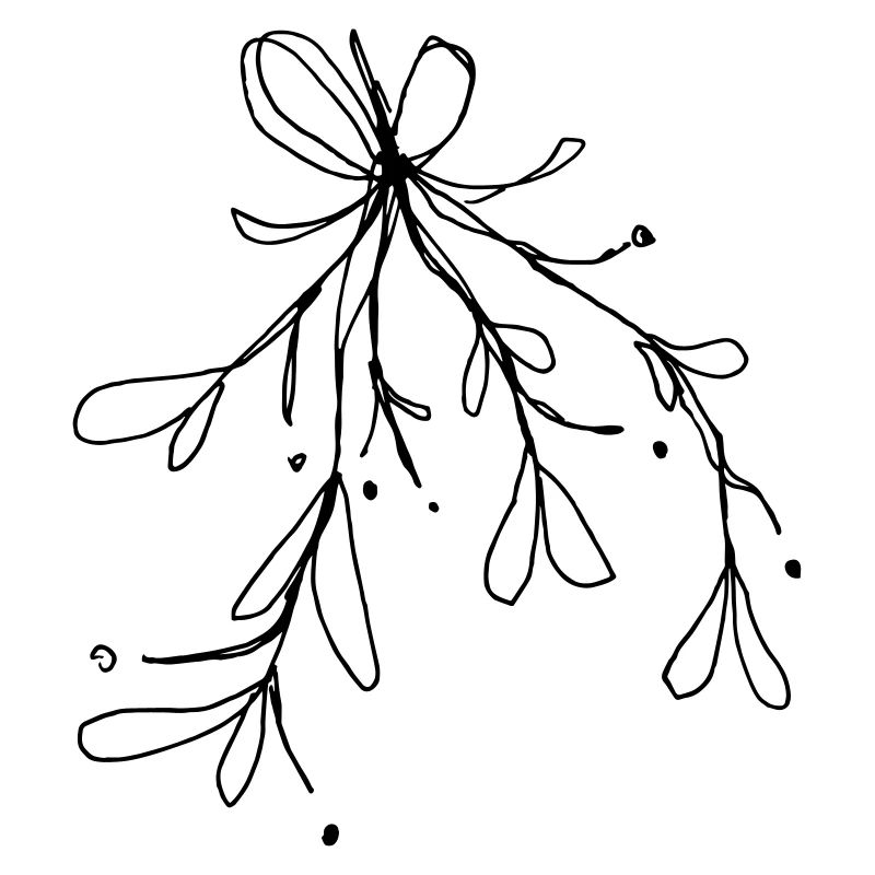 mistletoe