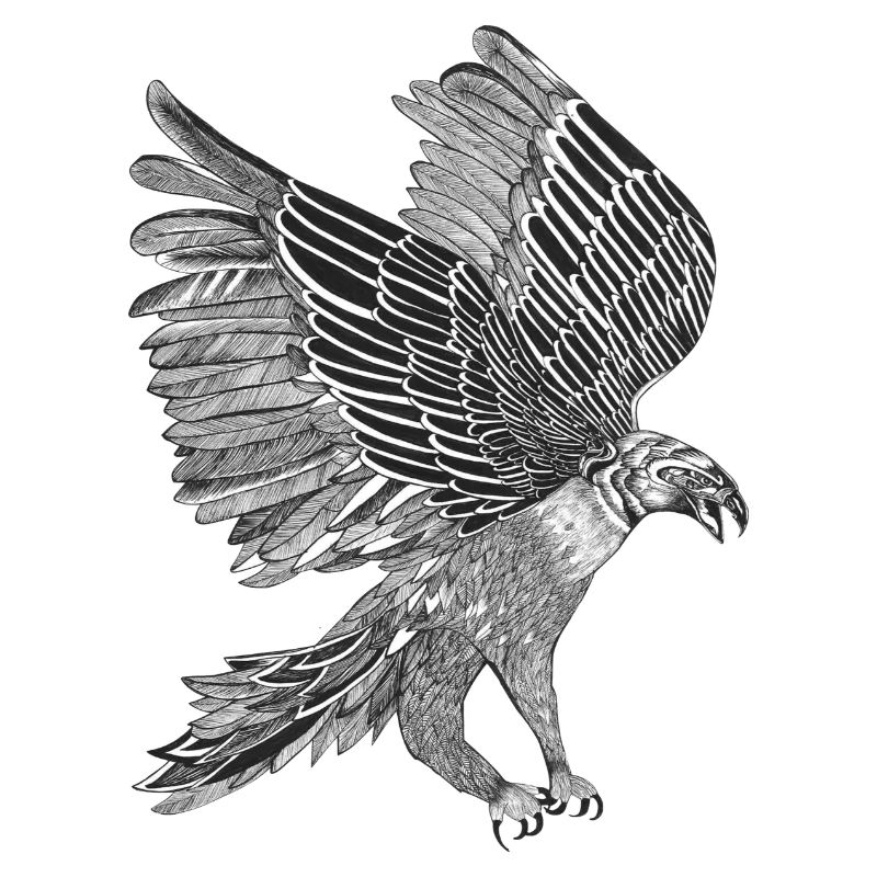 Adler