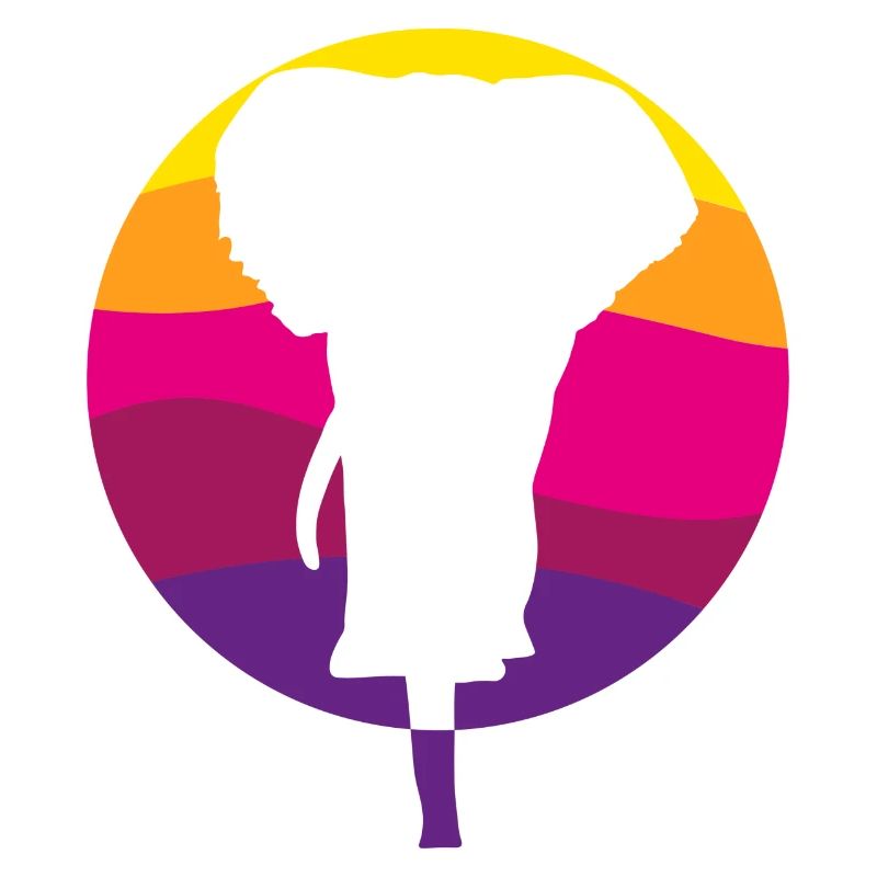 Éléphant devant le soleil couchant