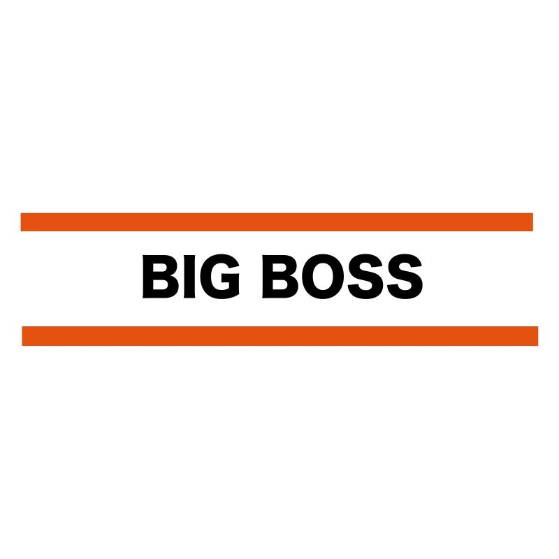 Big Boss