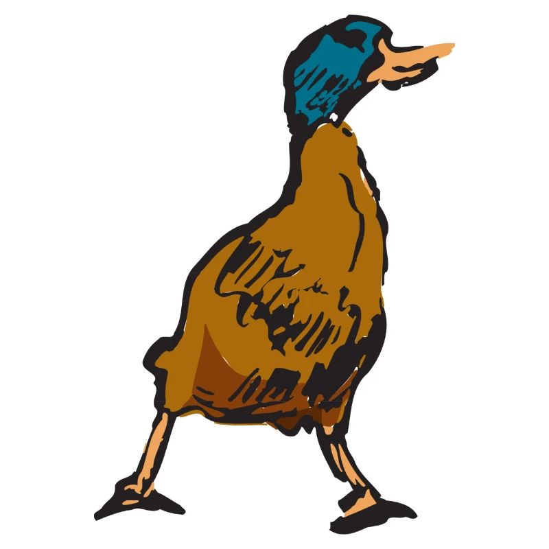 duck25