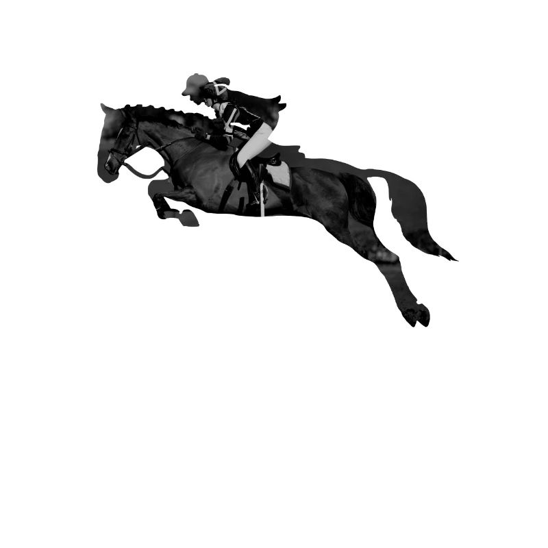 Springreiterin Springpferd Springreiten