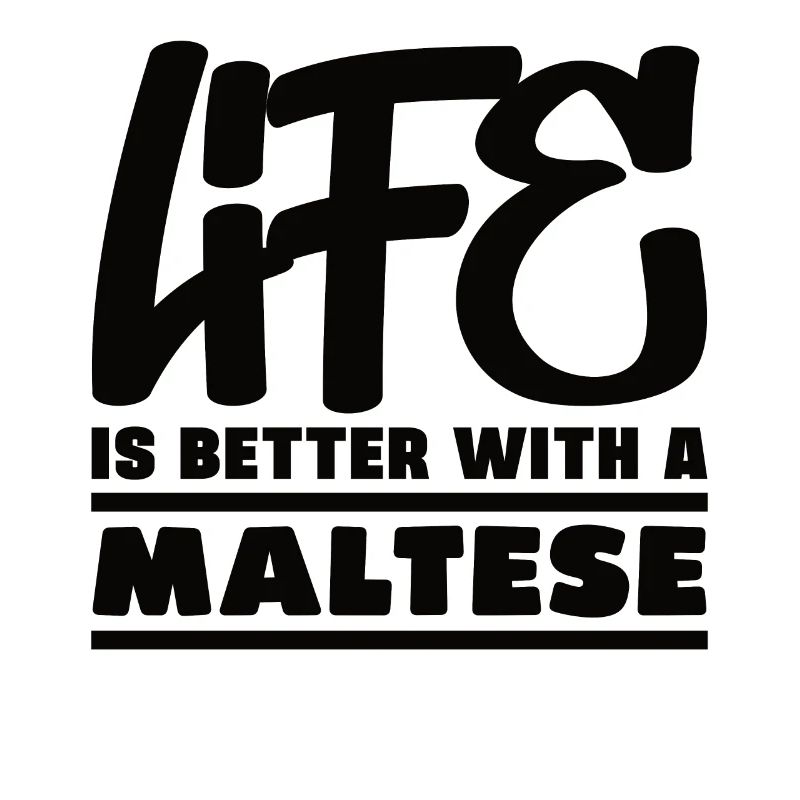 Das Leben ist mit einem malteser besser