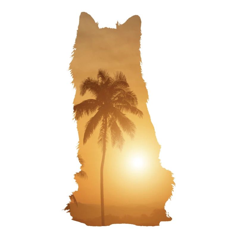 Summer Beach - Australian Shepherd