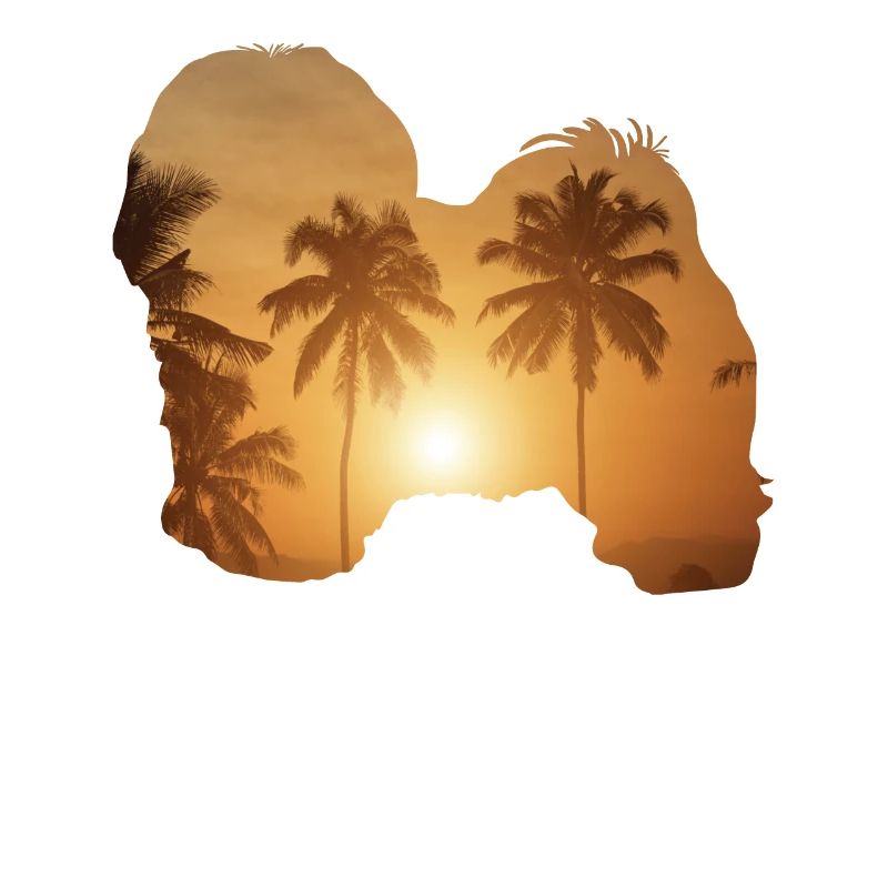 Summer beach - Havanese