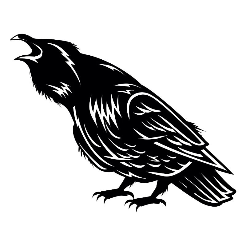 Crow bird crow