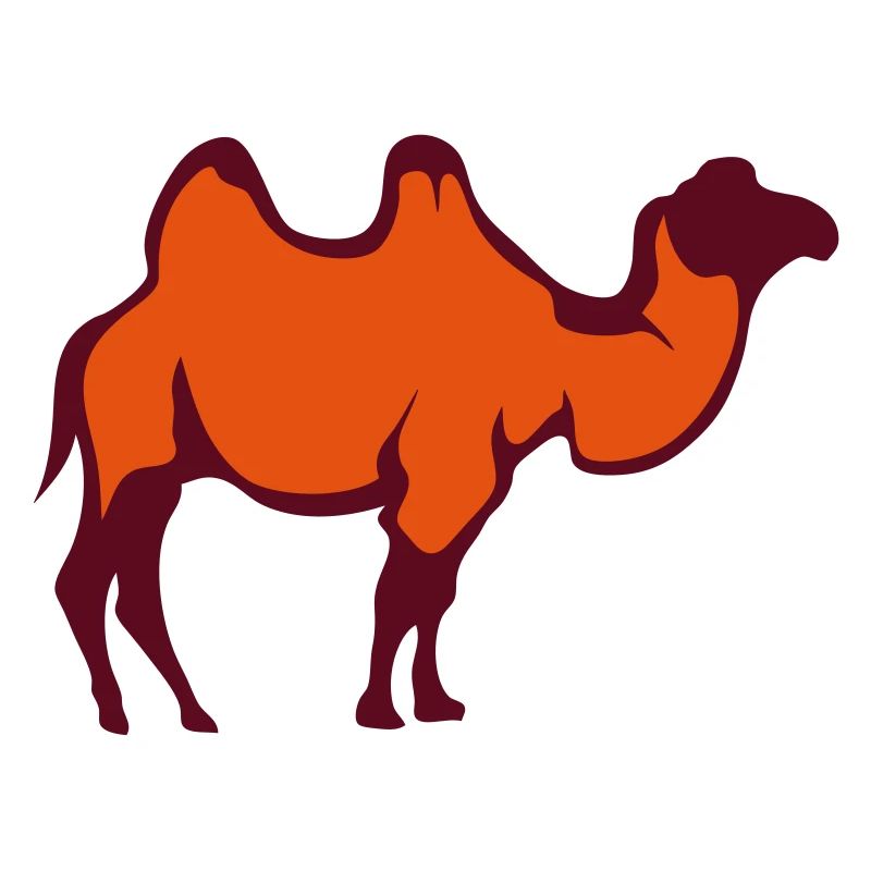 Wildtier Kamel 29