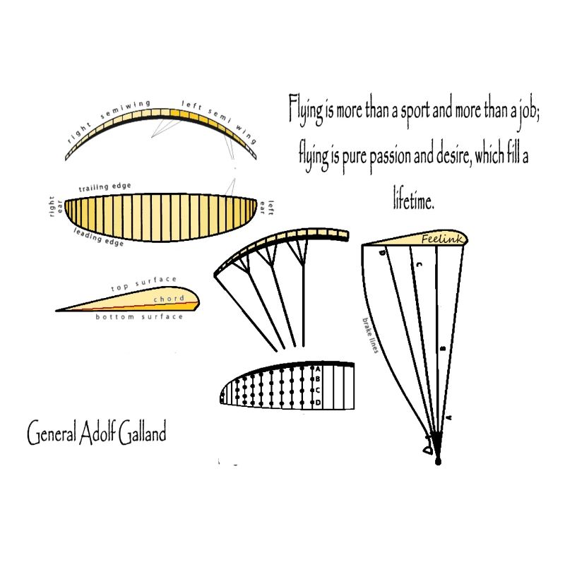 Gleitschirm Pilot Paragliding Aereo