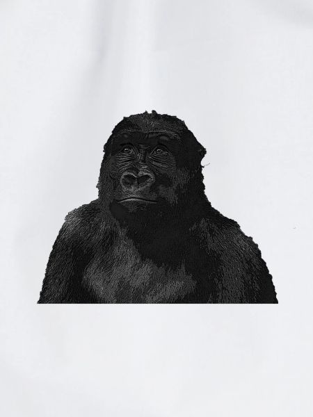 Affe